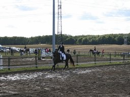 2012 Military Haslev